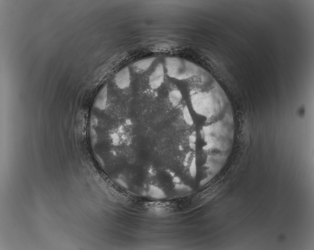 X0000115390273200912011235