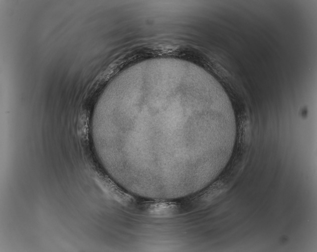 X0000115390274200912011235