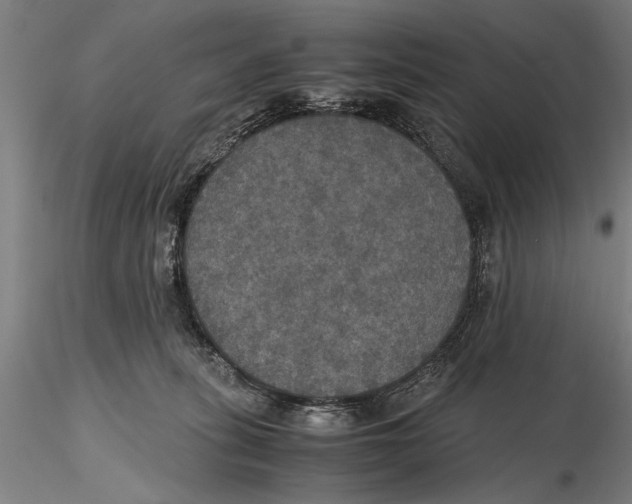 X0000115390275200912011235