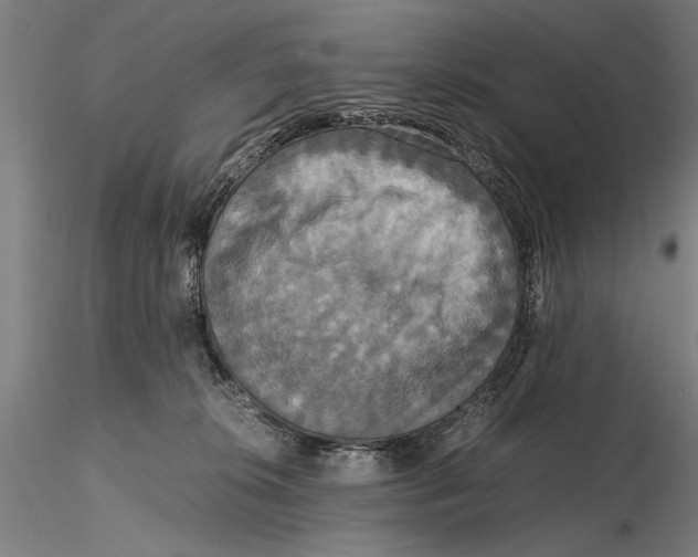 X0000115390276200912011235