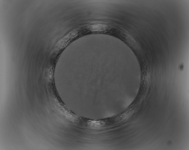 X0000115390277200912011235