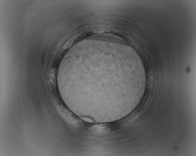 X0000115390280200912011235