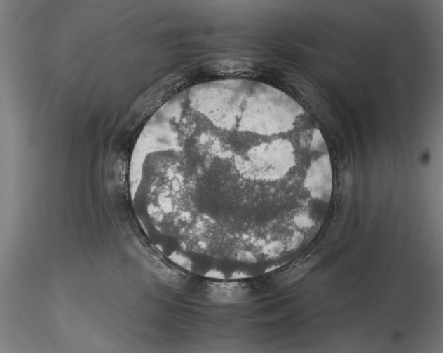 X0000115390281200912011235