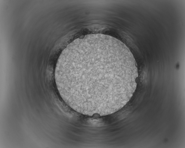 X0000115390283200912011235