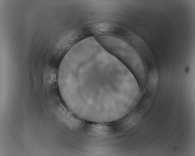 X0000115390284200912011235