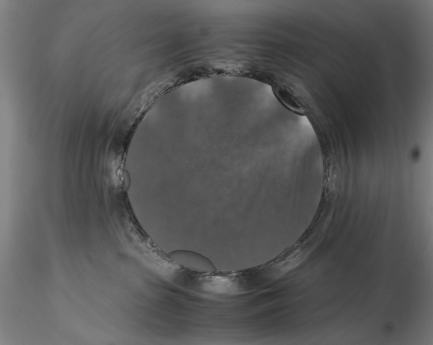 X0000115390285200912011235