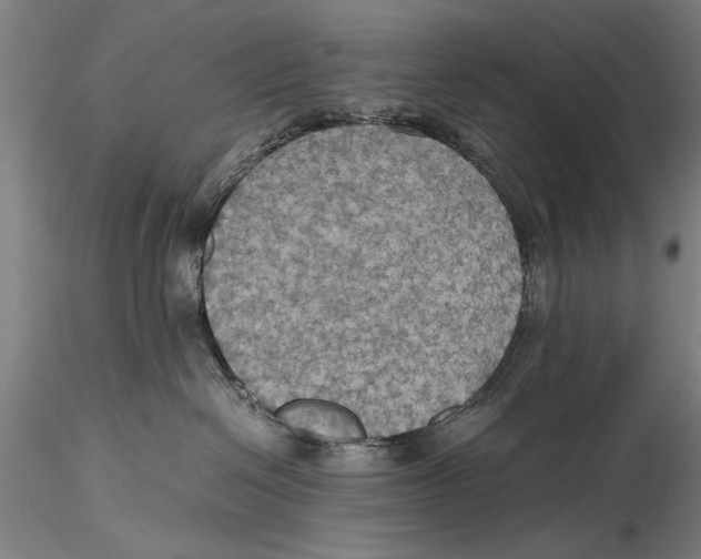 X0000115390286200912011235