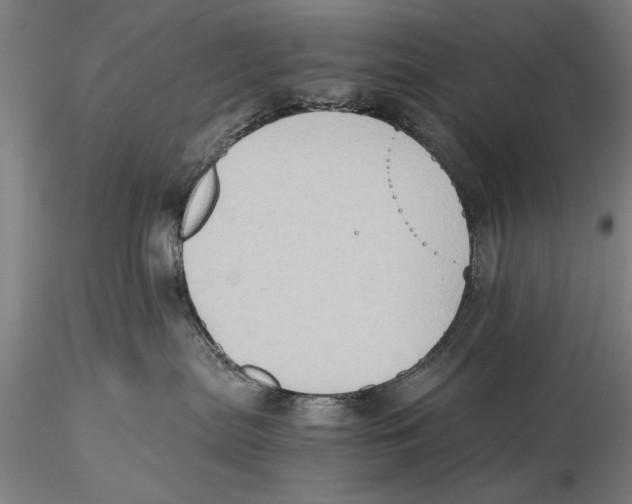 X0000115390287200912011235