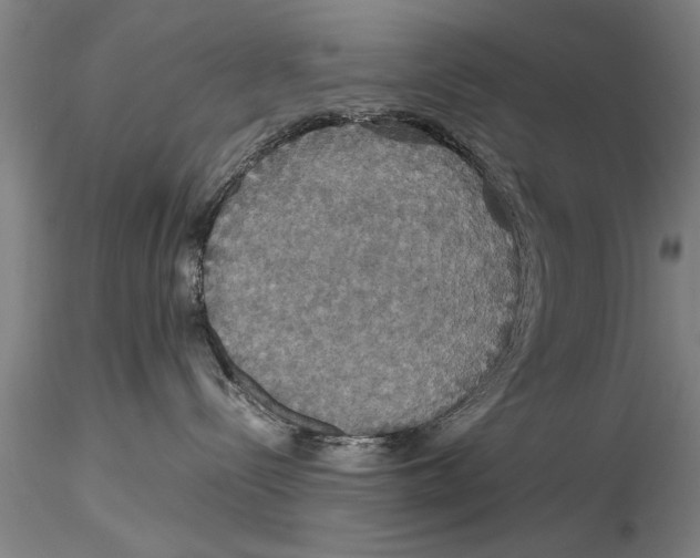 X0000115390288200912011235