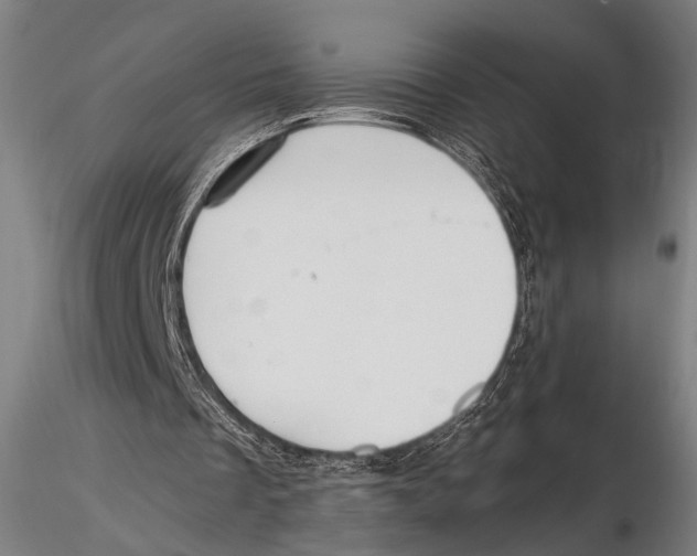 X0000115390289200912011235