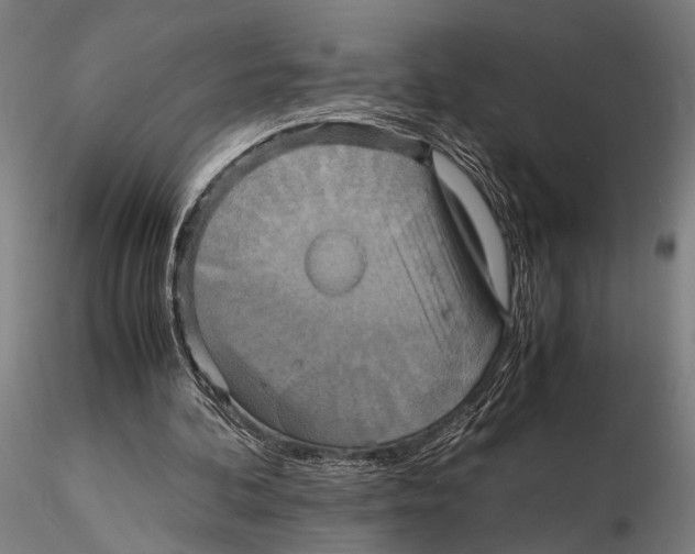 X0000115390292200912011235