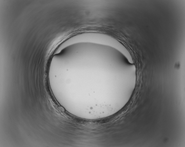 X0000115390293200912011235