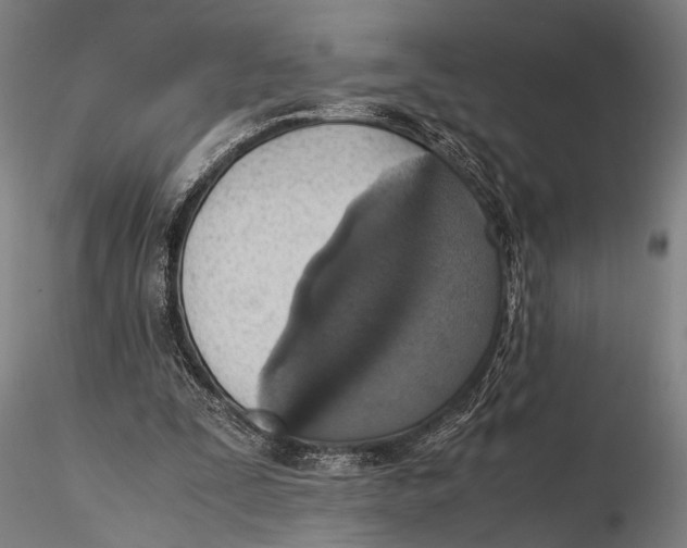 X0000115390295200912011235