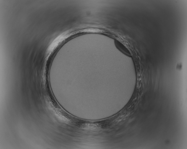 X0000115390296200912011234