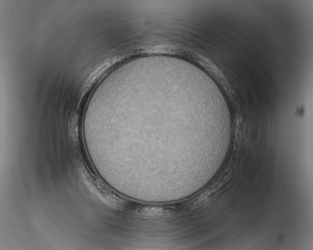 X0000115390298200912011234