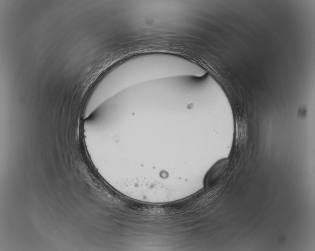 X0000115390301200912011234