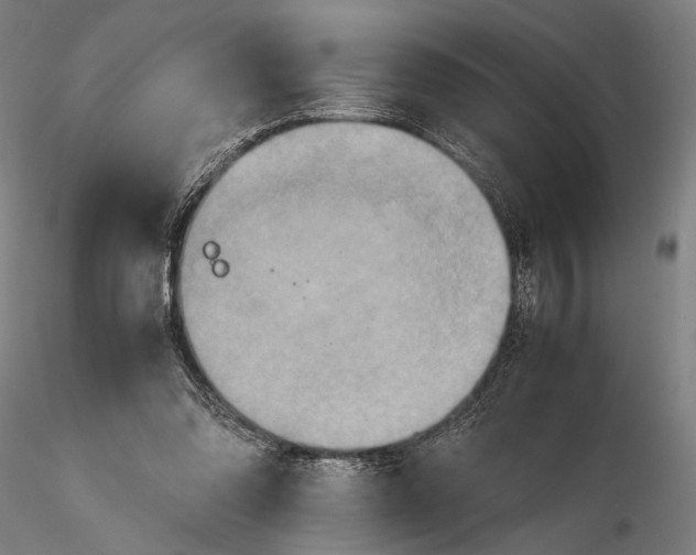 X0000115390302200912011234