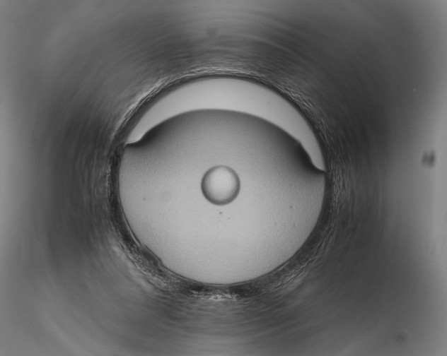 X0000115390304200912011234