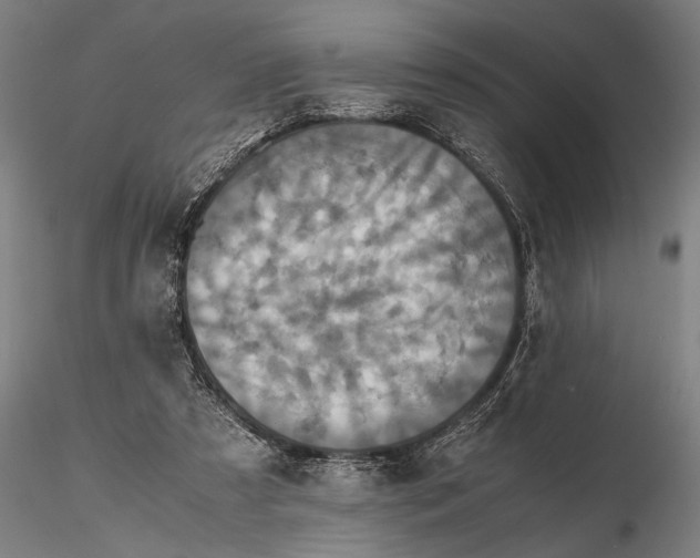 X0000115390305200912011234