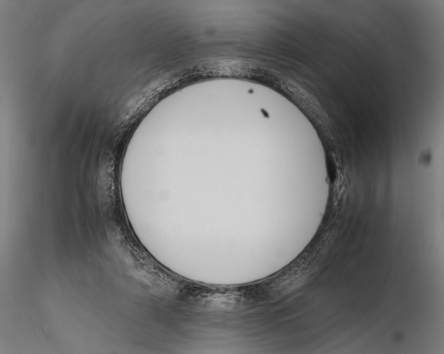 X0000115390306200912011234