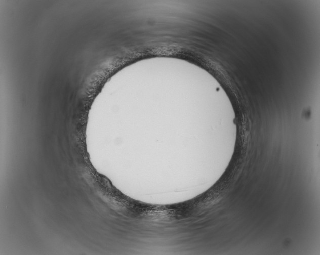 X0000115390307200912011234