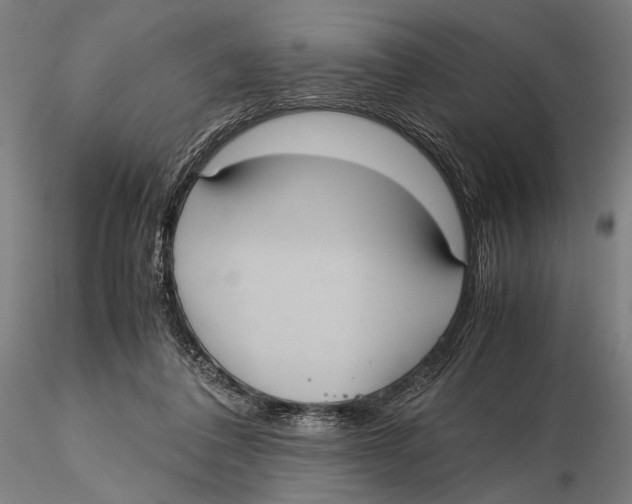 X0000115390308200912011234