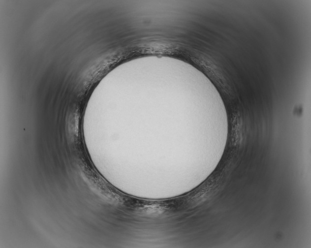 X0000115390310200912011234