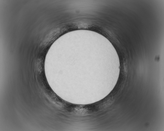 X0000115390311200912011234