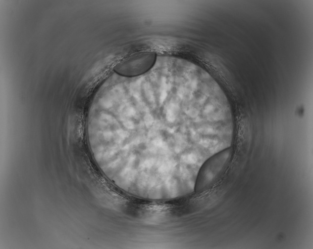 X0000115390313200912011234