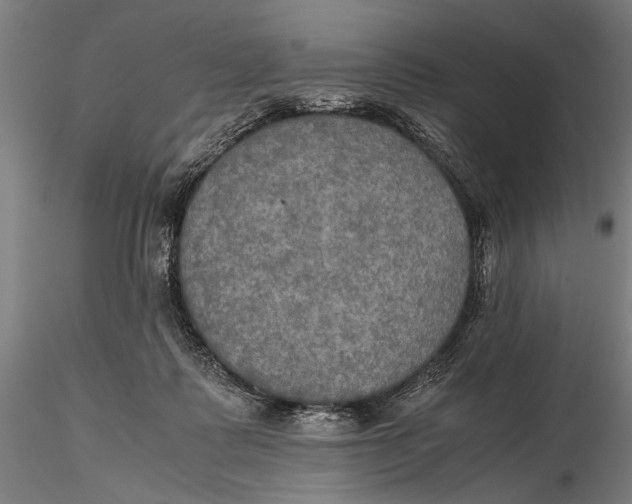 X0000115390315200912011234