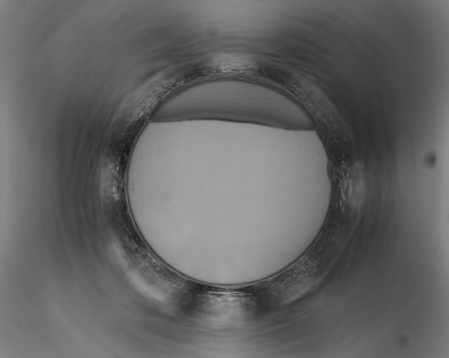 X0000115390316200912011234