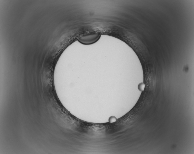 X0000115390317200912011234