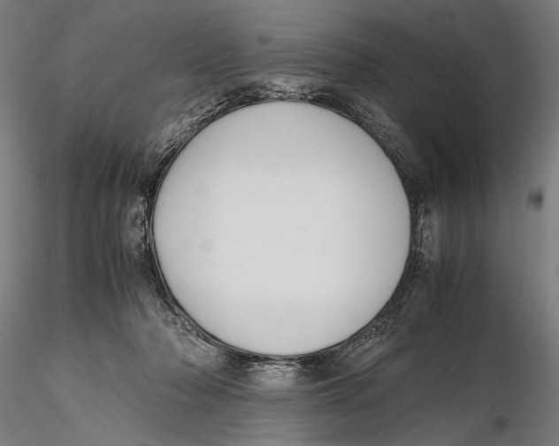 X0000115390318200912011234