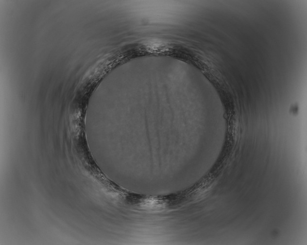 X0000115390319200912011234