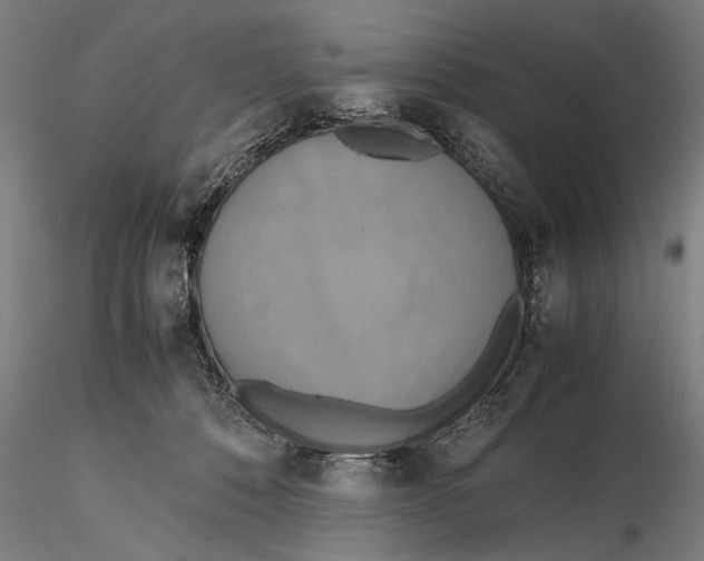 X0000115390320200912011234