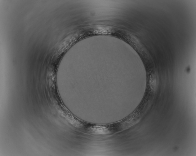 X0000115390322200912011234