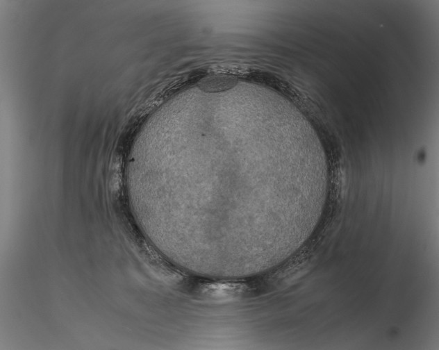 X0000115390323200912011234