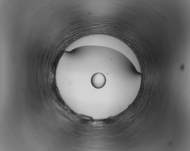 X0000115390324200912011234