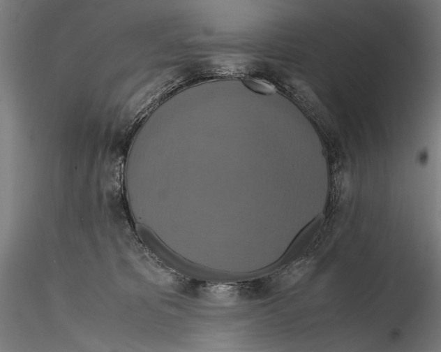 X0000115390325200912011234