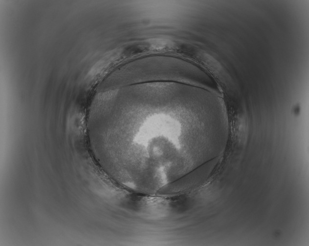 X0000115390327200912011234