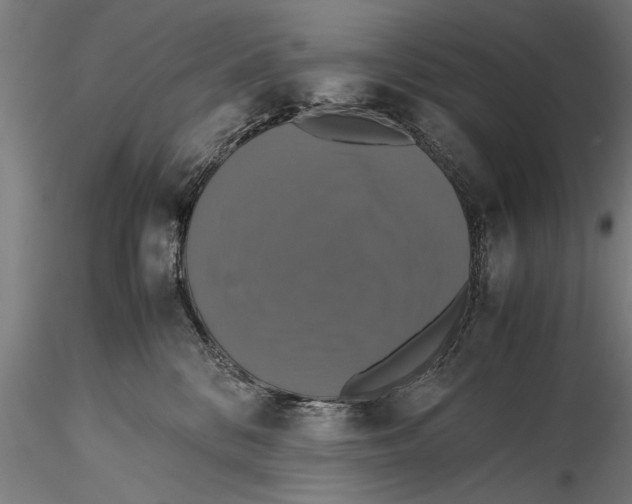 X0000115390328200912011234