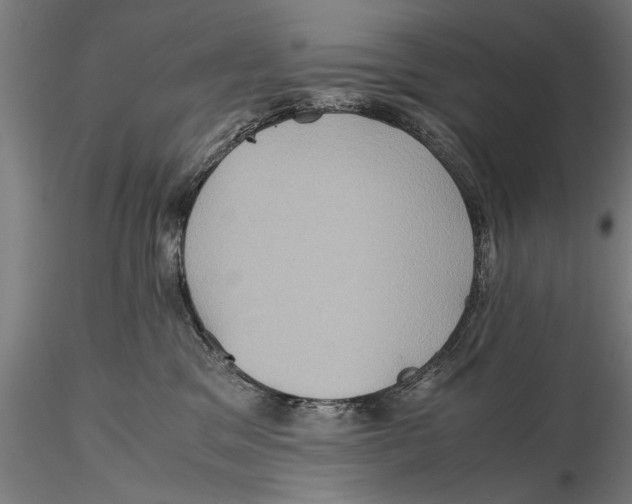 X0000115390329200912011234