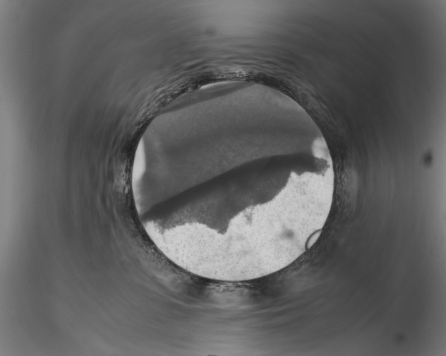 X0000115390331200912011234