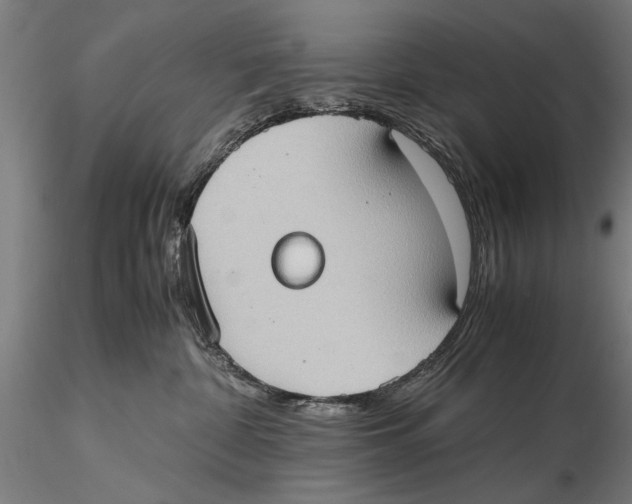 X0000115390332200912011234