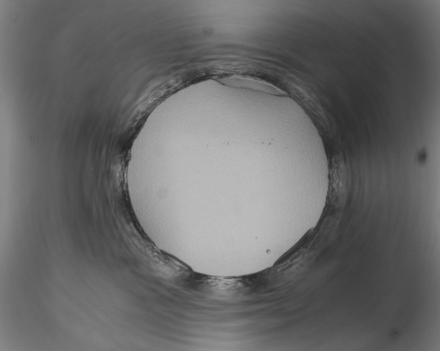 X0000115390333200912011234