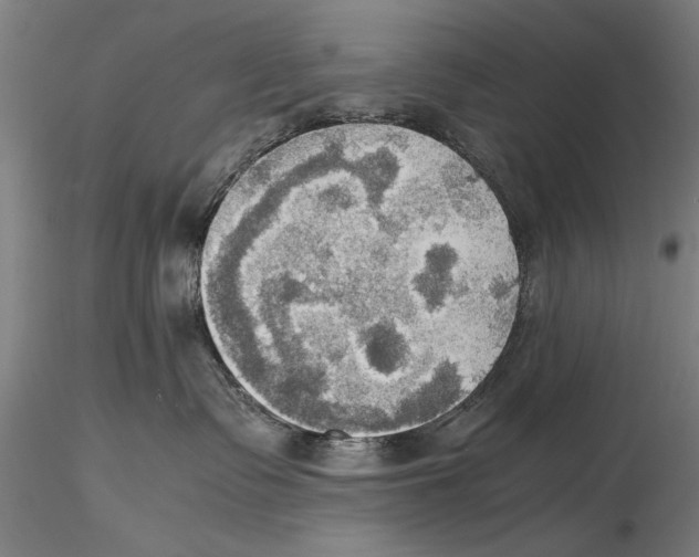 X0000115390335200912011234