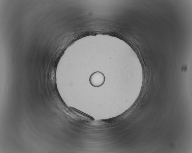 X0000115390336200912011234