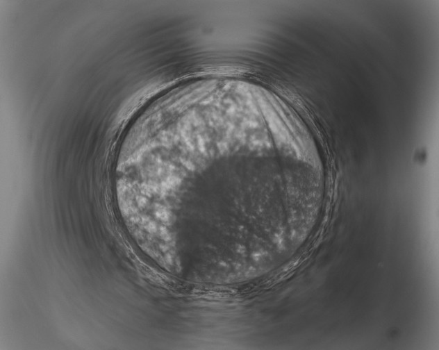 X0000115390337200912011233