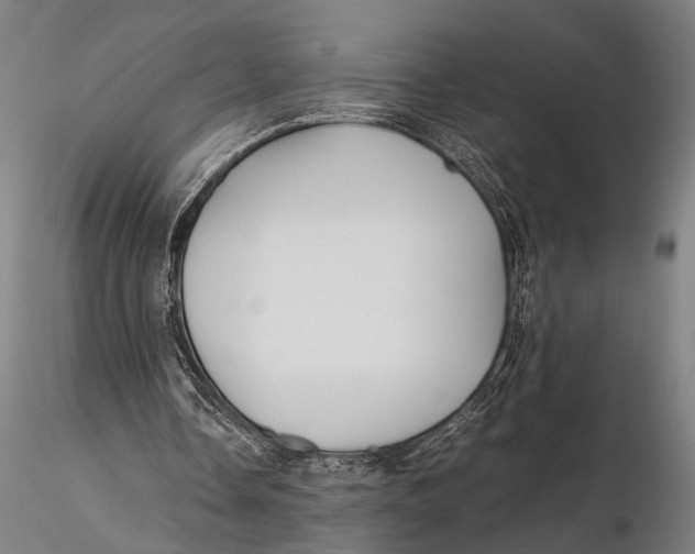 X0000115390338200912011233