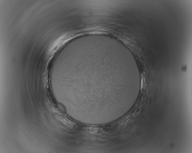 X0000115390339200912011233